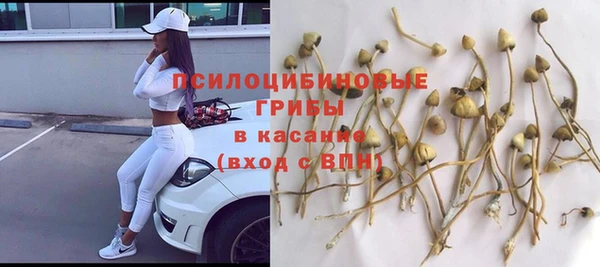 мяу мяу мука Бородино