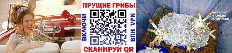 Галлюциногенные грибы MAGIC MUSHROOMS Таганрог